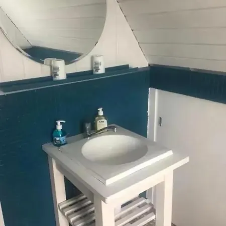 Grande Maison A Avec Jardin * Santes